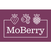 MoBerry