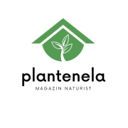 Plantenela-Magazin online