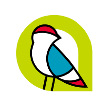 ALIR Logo