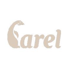 CAREL.MD Logo