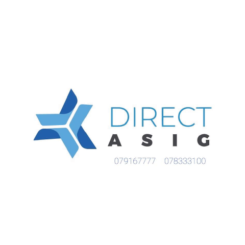 DIRECT ASIG Logo