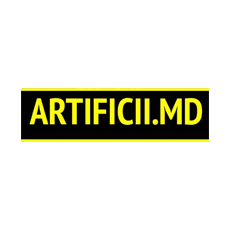 ARTIFICII.MD Logo