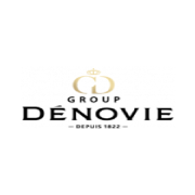 Denovie-Group
